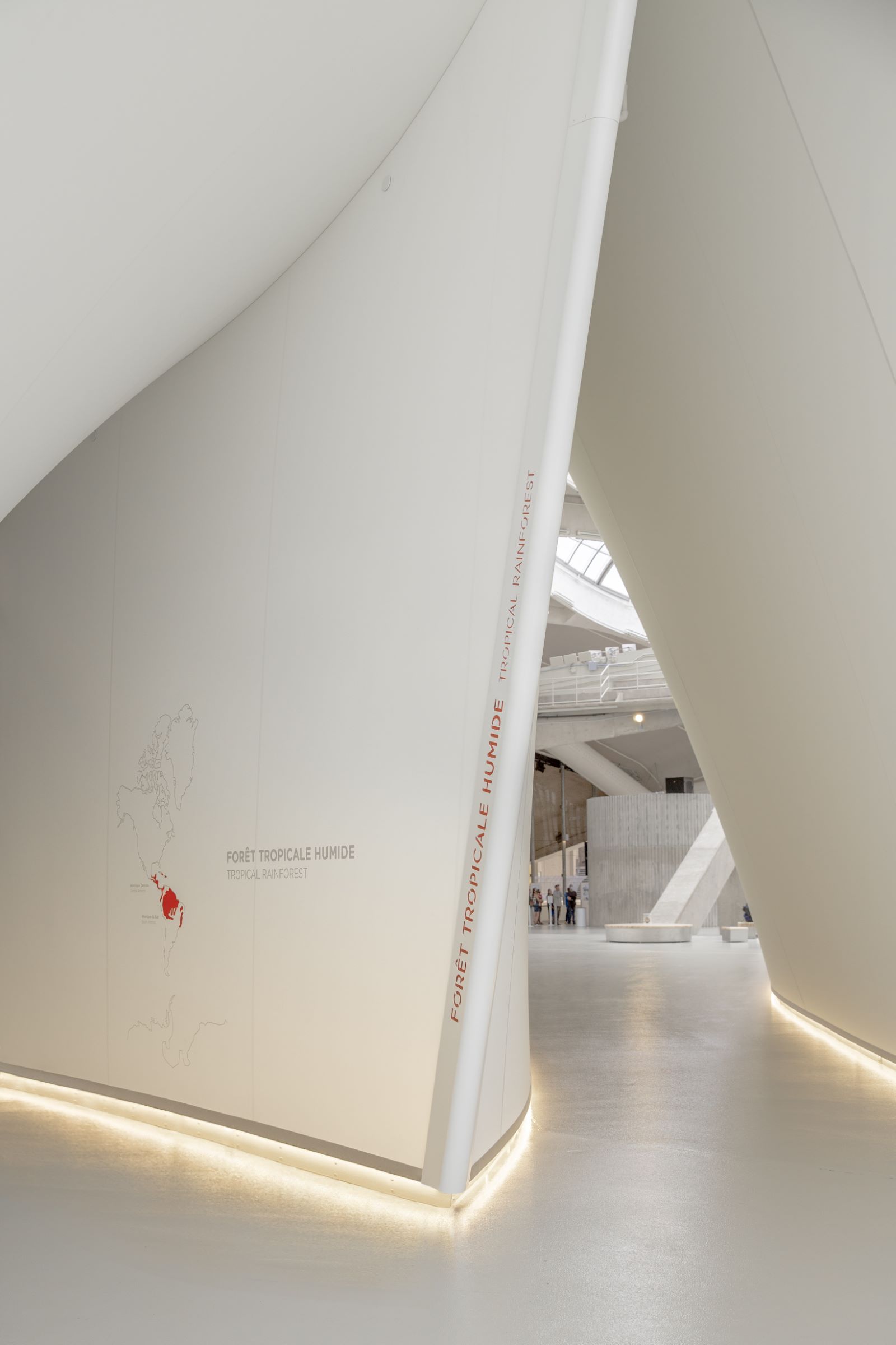 l'&eacute;cotransit de la for&ecirc;t tropicale humide